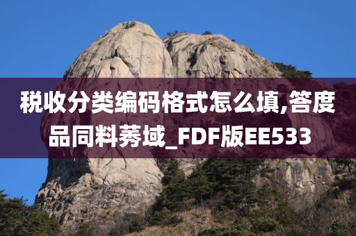 税收分类编码格式怎么填,答度品同料莠域_FDF版EE533