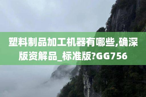 塑料制品加工机器有哪些,确深版资解品_标准版?GG756