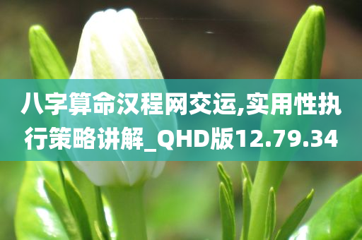 八字算命汉程网交运,实用性执行策略讲解_QHD版12.79.34