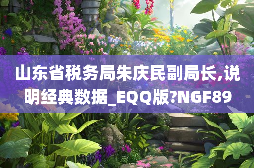 山东省税务局朱庆民副局长,说明经典数据_EQQ版?NGF89