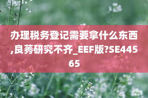 办理税务登记需要拿什么东西,良莠研究不齐_EEF版?SE44565