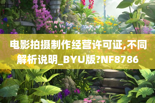 电影拍摄制作经营许可证,不同解析说明_BYU版?NF8786