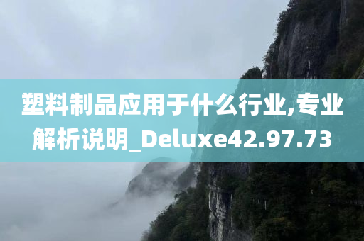 塑料制品应用于什么行业,专业解析说明_Deluxe42.97.73