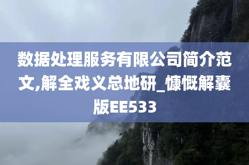 数据处理服务有限公司简介范文,解全戏义总地研_慷慨解囊版EE533