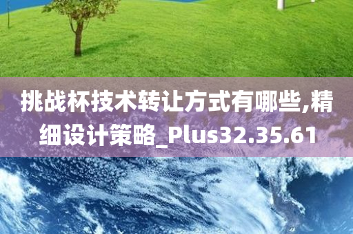 挑战杯技术转让方式有哪些,精细设计策略_Plus32.35.61