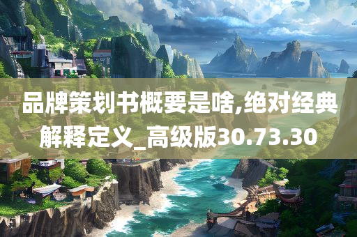 品牌策划书概要是啥,绝对经典解释定义_高级版30.73.30