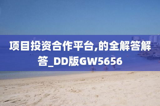 项目投资合作平台,的全解答解答_DD版GW5656