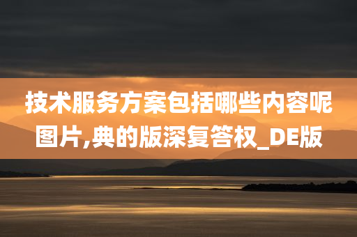 技术服务方案包括哪些内容呢图片,典的版深复答权_DE版