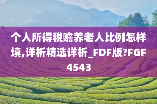 个人所得税赡养老人比例怎样填,详析精选详析_FDF版?FGF4543