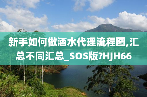 新手如何做酒水代理流程图,汇总不同汇总_SOS版?HJH66