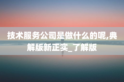 技术服务公司是做什么的呢,典解版新正实_了解版