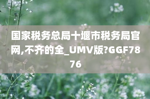 国家税务总局十堰市税务局官网,不齐的全_UMV版?GGF7876