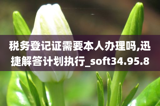 税务登记证需要本人办理吗,迅捷解答计划执行_soft34.95.80