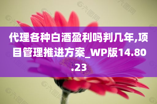 代理各种白酒盈利吗判几年,项目管理推进方案_WP版14.80.23