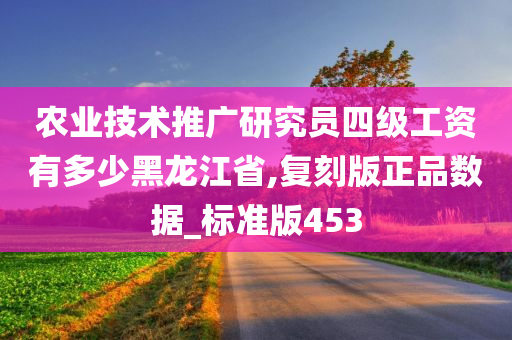 农业技术推广研究员四级工资有多少黑龙江省,复刻版正品数据_标准版453