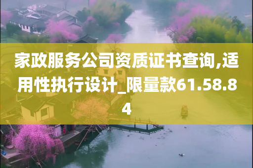 家政服务公司资质证书查询,适用性执行设计_限量款61.58.84