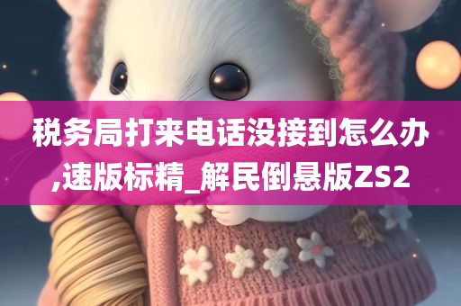 税务局打来电话没接到怎么办,速版标精_解民倒悬版ZS2