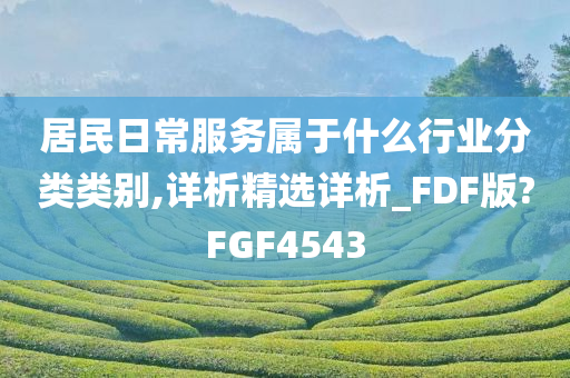 居民日常服务属于什么行业分类类别,详析精选详析_FDF版?FGF4543