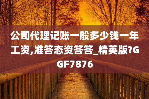 公司代理记账一般多少钱一年工资,准答态资答答_精英版?GGF7876