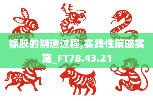 橡胶的制造过程,实践性策略实施_FT78.43.21