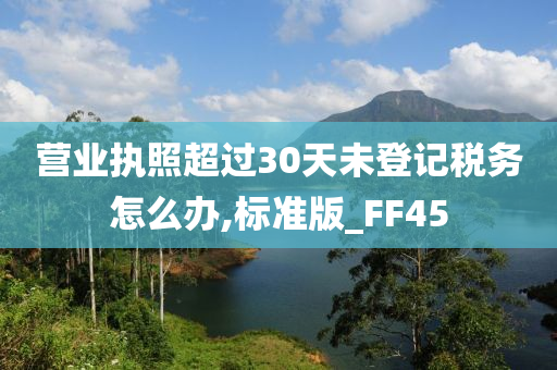 营业执照超过30天未登记税务怎么办,标准版_FF45