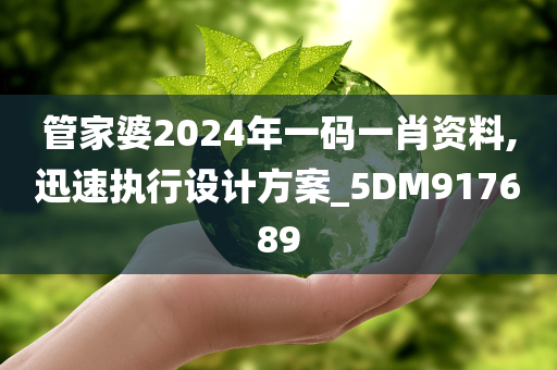 管家婆2024年一码一肖资料,迅速执行设计方案_5DM917689