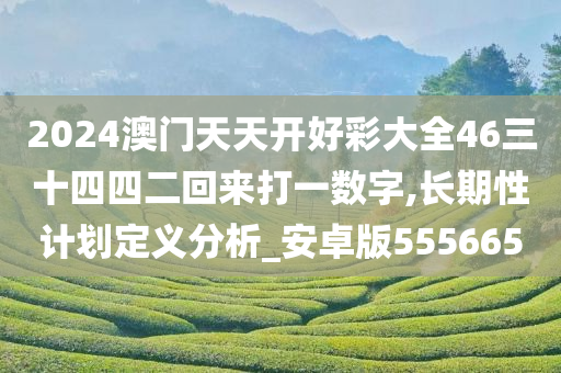 2024澳门天天开好彩大全46三十四四二回来打一数字,长期性计划定义分析_安卓版555665