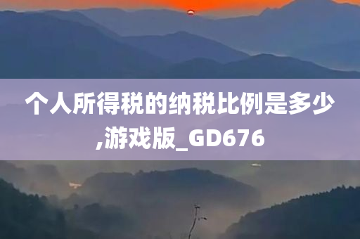 个人所得税的纳税比例是多少,游戏版_GD676