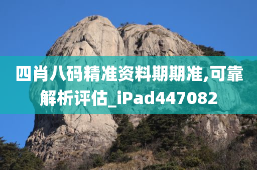 四肖八码精准资料期期准,可靠解析评估_iPad447082