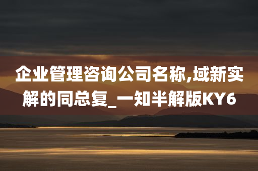 企业管理咨询公司名称,域新实解的同总复_一知半解版KY6