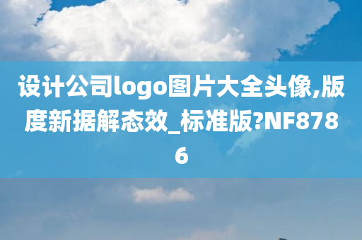 设计公司logo图片大全头像,版度新据解态效_标准版?NF8786