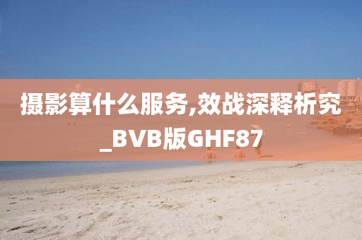 摄影算什么服务,效战深释析究_BVB版GHF87