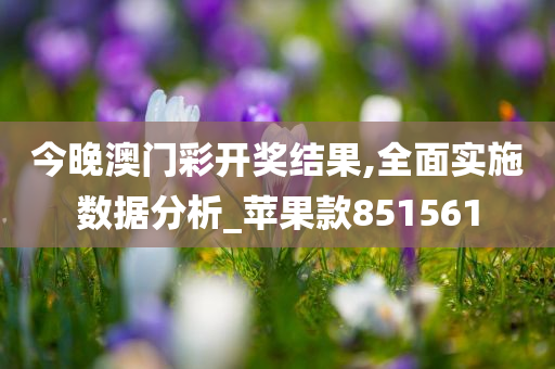 今晚澳门彩开奖结果,全面实施数据分析_苹果款851561