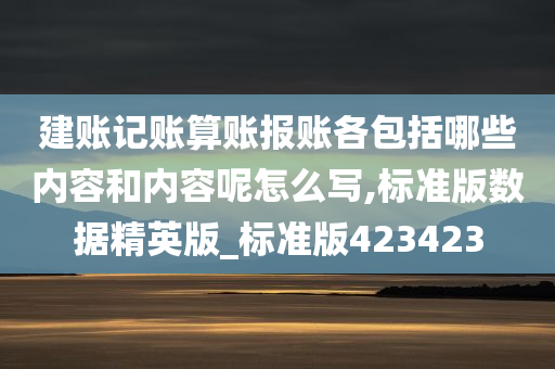 建账记账算账报账各包括哪些内容和内容呢怎么写,标准版数据精英版_标准版423423