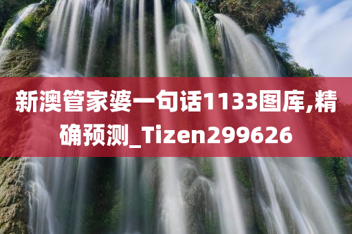 新澳管家婆一句话1133图库,精确预测_Tizen299626