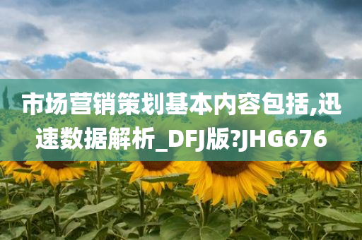 市场营销策划基本内容包括,迅速数据解析_DFJ版?JHG676