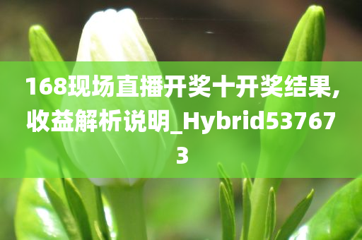 168现场直播开奖十开奖结果,收益解析说明_Hybrid537673