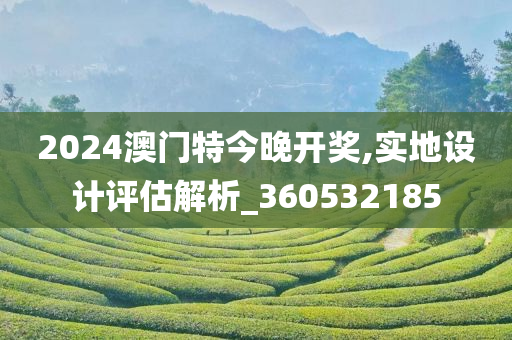 2024澳门特今晚开奖,实地设计评估解析_360532185