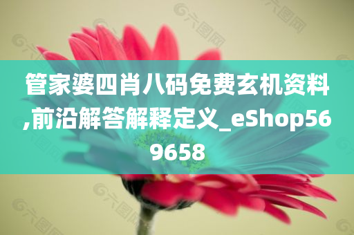 管家婆四肖八码免费玄机资料,前沿解答解释定义_eShop569658