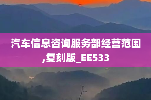 汽车信息咨询服务部经营范围,复刻版_EE533