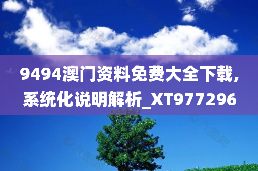 9494澳门资料免费大全下载,系统化说明解析_XT977296