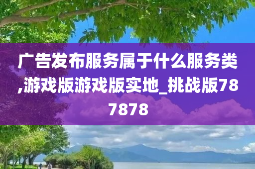 广告发布服务属于什么服务类,游戏版游戏版实地_挑战版787878