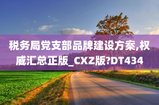 税务局党支部品牌建设方案,权威汇总正版_CXZ版?DT434