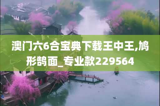 澳门六6合宝典下载王中王,鸠形鹄面_专业款229564