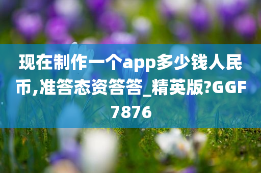 现在制作一个app多少钱人民币,准答态资答答_精英版?GGF7876