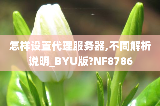 怎样设置代理服务器,不同解析说明_BYU版?NF8786