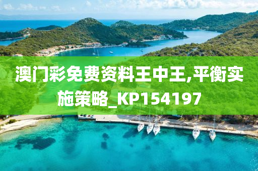 澳门彩免费资料王中王,平衡实施策略_KP154197