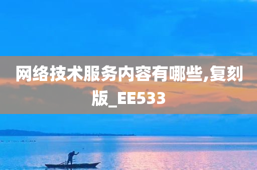 网络技术服务内容有哪些,复刻版_EE533