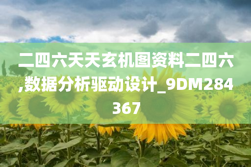 二四六天天玄机图资料二四六,数据分析驱动设计_9DM284367