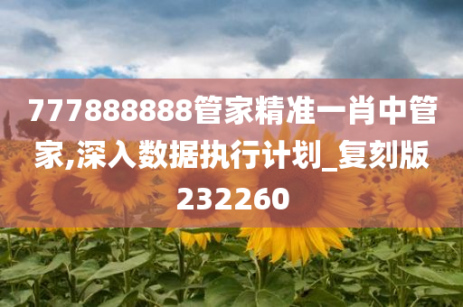 777888888管家精准一肖中管家,深入数据执行计划_复刻版232260